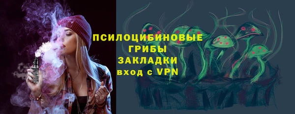гидропоника Няндома