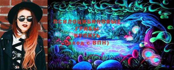 дживик Коряжма