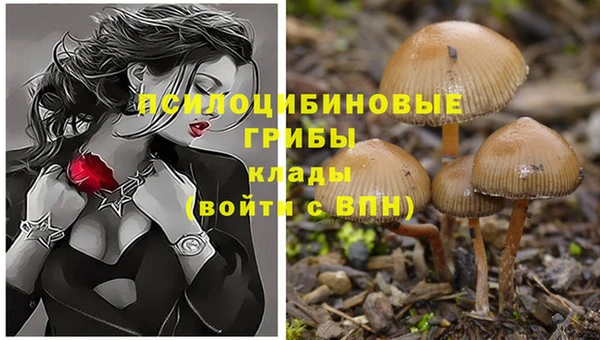 Альфа ПВП Абаза