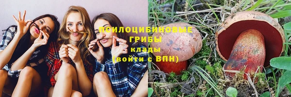 мдпв Абдулино