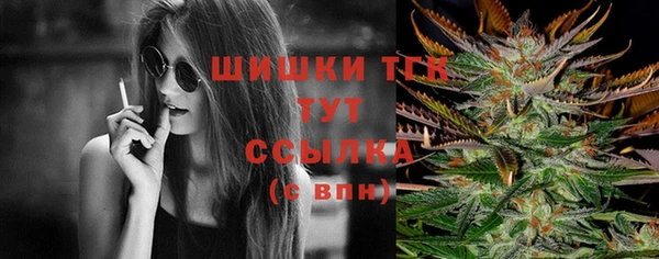 гидропоника Няндома