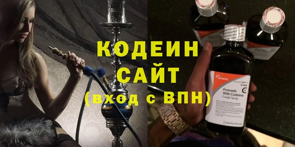 трава Корсаков